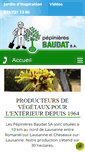 Mobile Screenshot of baudat.ch